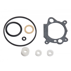 Gasket kit 498261 ryhmässä  @ GPLSHOP (498261)