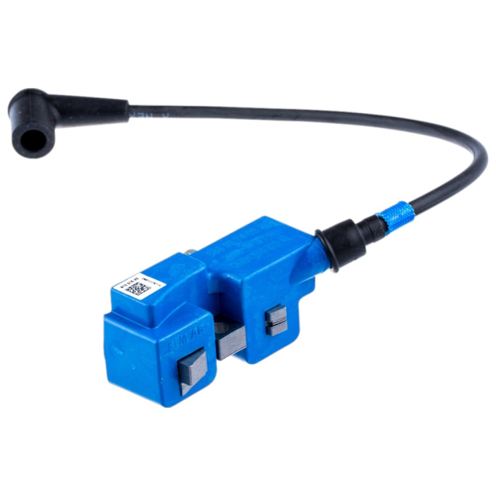 Sytytysmoduuli 5889374-03 ryhmässä  @ GPLSHOP (5889374-03)