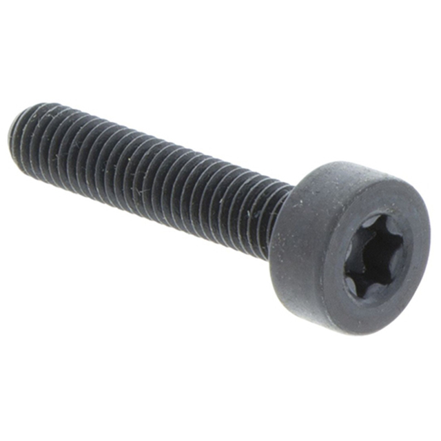Ruuvi Itxscm M5X10 T27 12.9 5258249-04