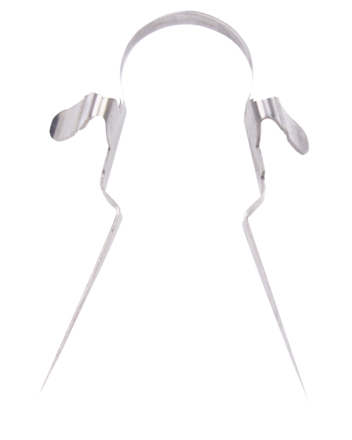 Puristin