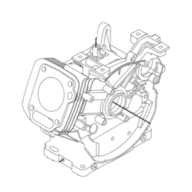 Kampikammio