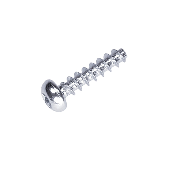 Ruuvi St4.8*20 5900935-01