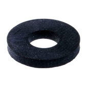 Pistorasia Pistorasia