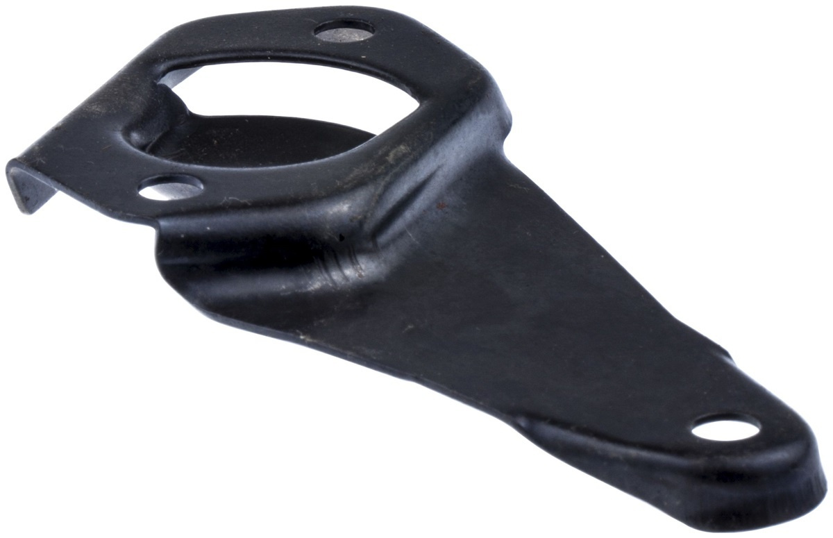 Gall Toonti 5031275-01