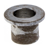 Pistorasia Pistorasia