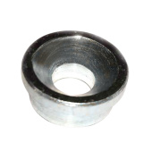 Pistorasia Pistorasia