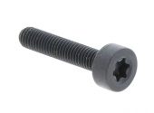 Ruuvi Itxscm M5X25 T27 12,9 Tb 5258249-03 Ruuvi Itxscm M5X25 T27 12,9 Tb 5258249-03