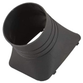 Pistorasia Pistorasia