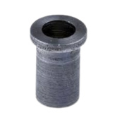 Pistorasia Pistorasia