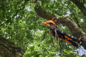 Husqvarna turvahousut, Technical Extreme Arborist Husqvarna turvahousut, Technical Extreme Arborist