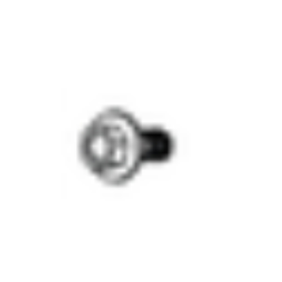 Ruuvi GB/T 16674,1: M6 L=16