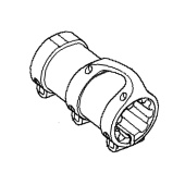 Pistorasia Pistorasia