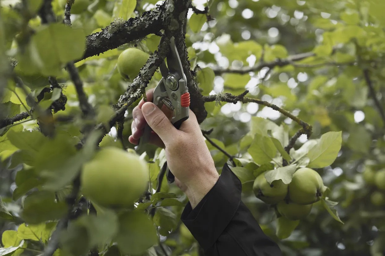 Husqvarna oksasakset Large