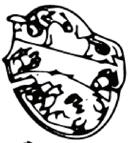 Kytkinlaasian Ala (Euro 5746268-01