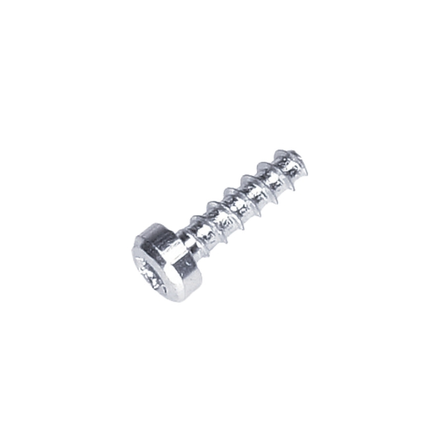 Ruuvi St4.2*15B 5828555-01