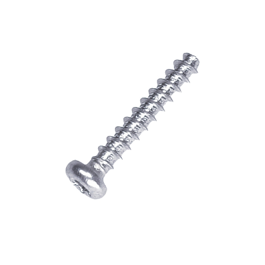 Ruuvi St4.2*25B 5828556-01