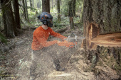 Teräketju S85 3/8 Teräketju S85 3/8