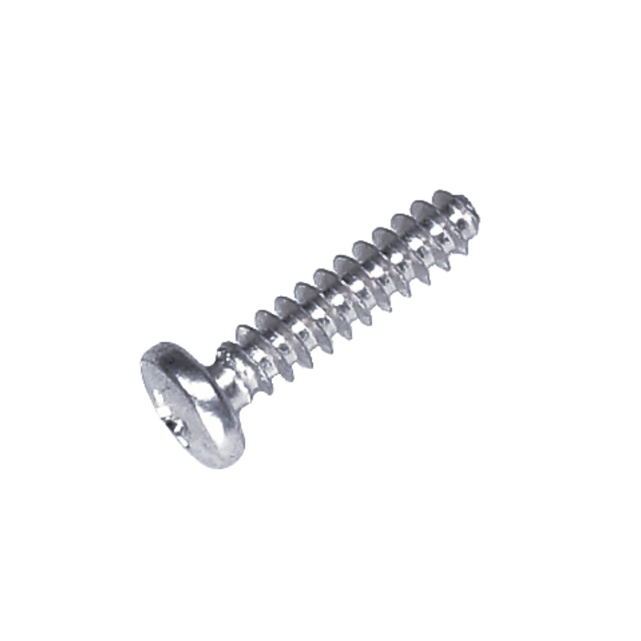 Ruuvi St4.5X20 5975029-01