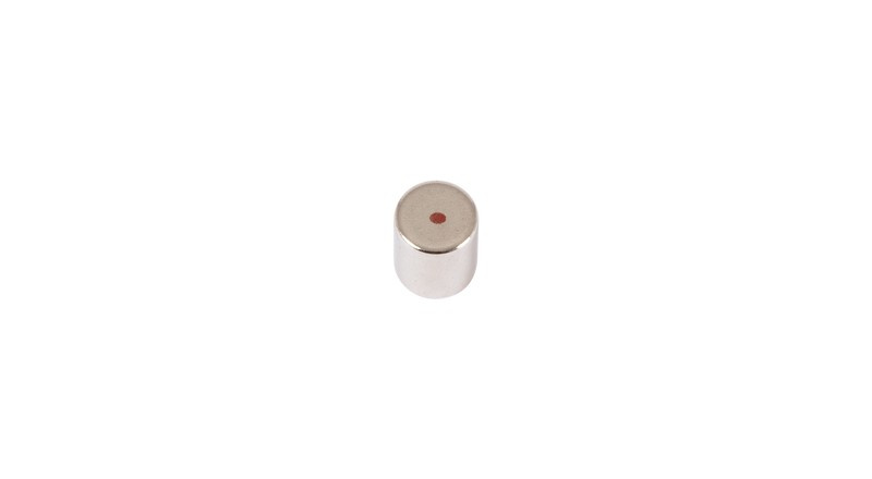 Neodymium Magneetti L=10