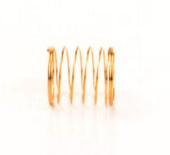 Kevät-kalvo Kevät-kalvo