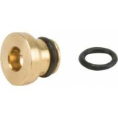 Pääsuutin Pääsuutin