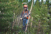Husqvarna 535 FBx Metsänraivaussahat Husqvarna 535 FBx Metsänraivaussahat