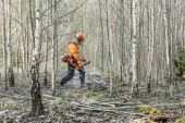Husqvarna 545FXT Metsäpaketti Husqvarna 545FXT Metsäpaketti