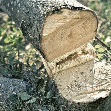 Husqvarna 530iP4 Oksasahat