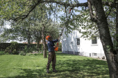 HUSQVARNA 120iTK4-P Oksasahat + BLi10 & QC80 HUSQVARNA 120iTK4-P Oksasahat + BLi10 & QC80
