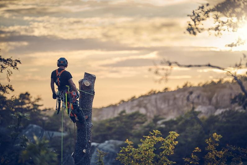 Husqvarna T540 XP® Mark III Moottorisaha