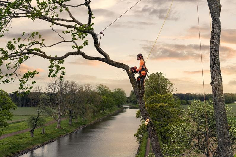 Husqvarna T540 XP® Mark III Moottorisaha