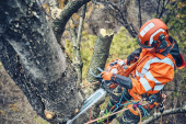Husqvarna 560 XPG Mark II Moottorisaha Husqvarna 560 XPG Mark II Moottorisaha