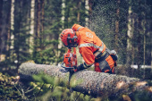 Husqvarna 560 XPG Mark II Moottorisaha Husqvarna 560 XPG Mark II Moottorisaha