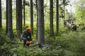 Husqvarna 450X Moottorisaha Husqvarna 450X Moottorisaha